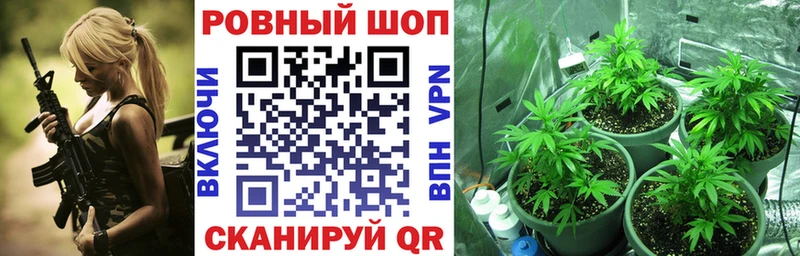 Купить закладку Бошки Шишки  МЕФ  COCAIN  ГАШ  Тетюши