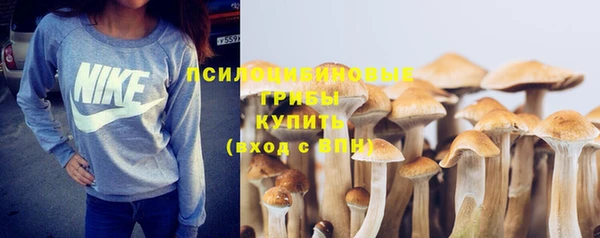 ALPHA-PVP Горнозаводск